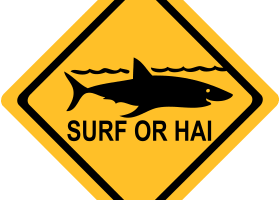 Surf or Hai
