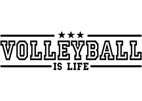 Volleyball is live